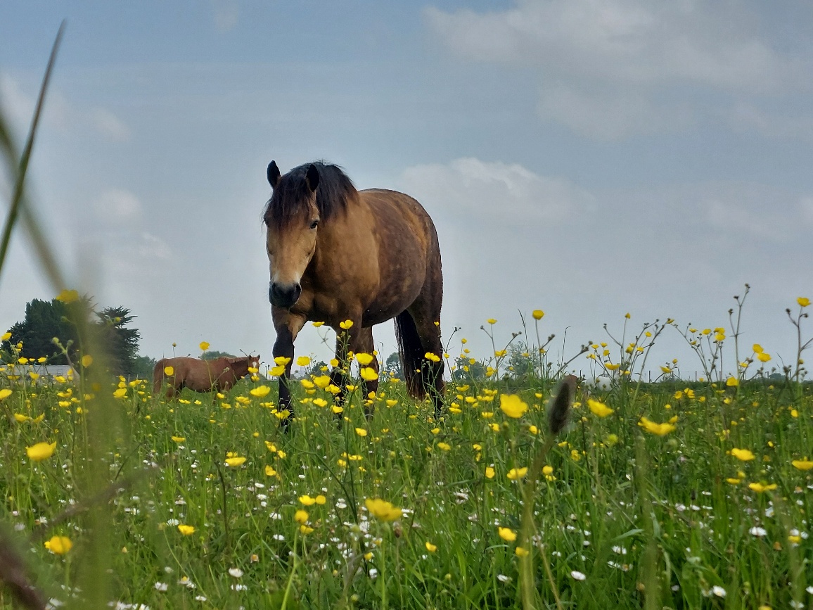 Pack Privilège – Week-end NATURE